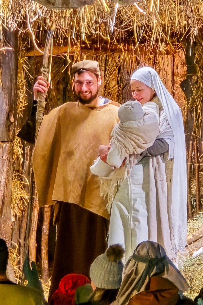 Presepe (5)