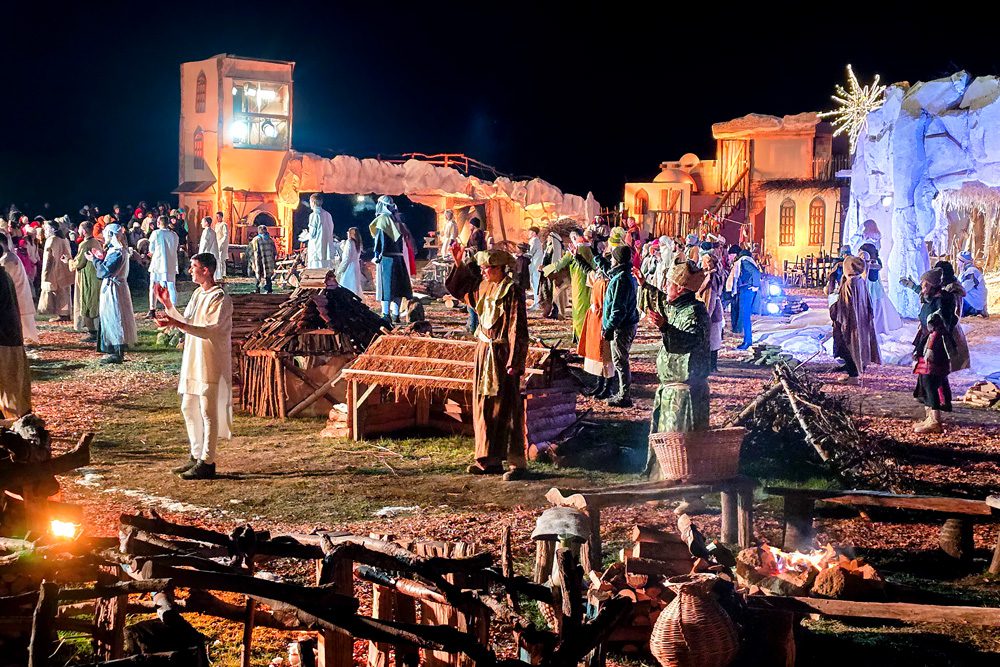 Presepe (6)