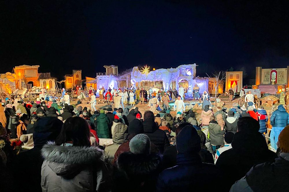 Presepe (8)